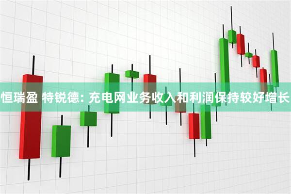 恒瑞盈 特锐德: 充电网业务收入和利润保持较好增长