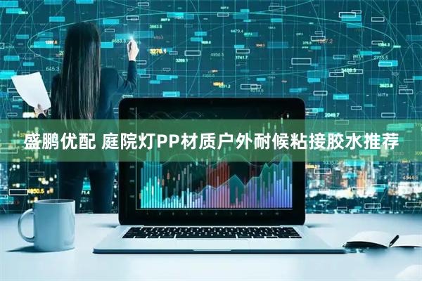 盛鹏优配 庭院灯PP材质户外耐候粘接胶水推荐