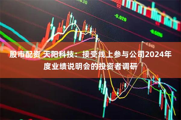 股市配资 天阳科技：接受线上参与公司2024年度业绩说明会的投资者调研