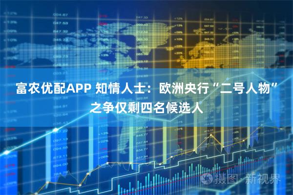富农优配APP 知情人士：欧洲央行“二号人物”之争仅剩四名候选人